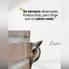 cribasl